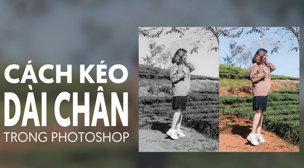 khoá học photoshop cơ bản
