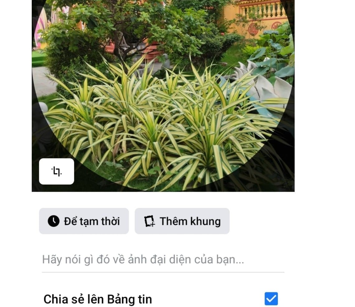 hình ghi caption